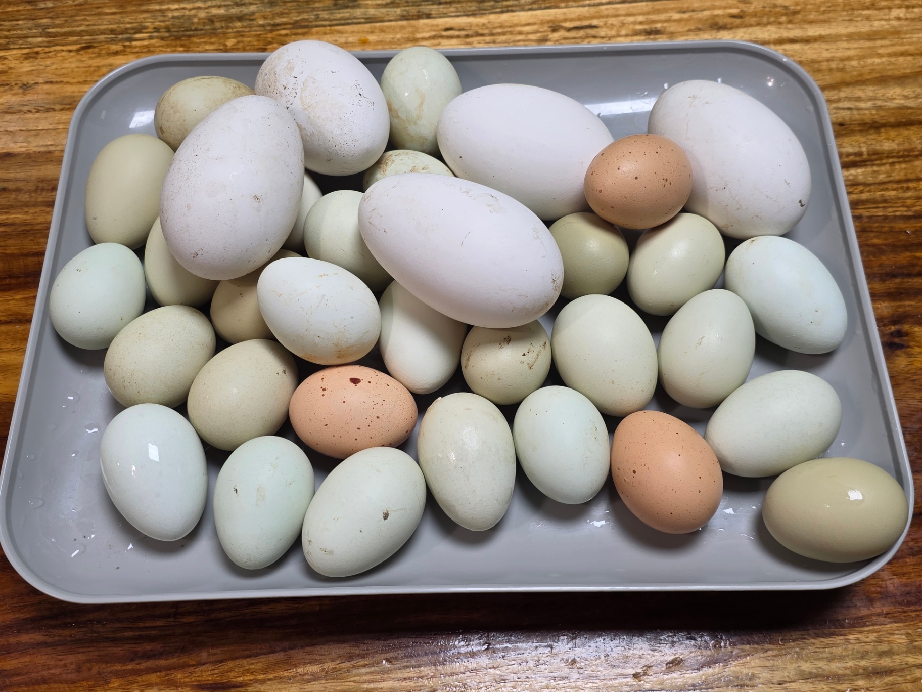 덕암 칼럼 누구 말이 옳은가