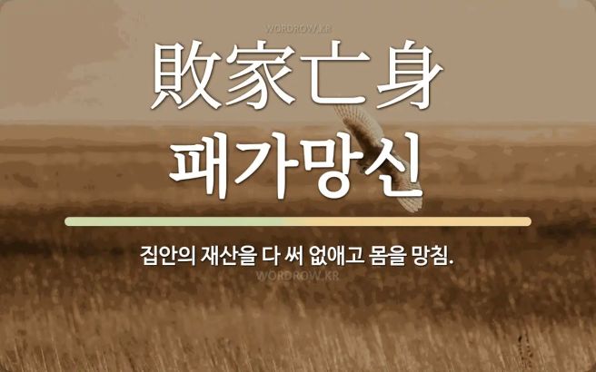 덕암 칼럼 호랑이와 고양이